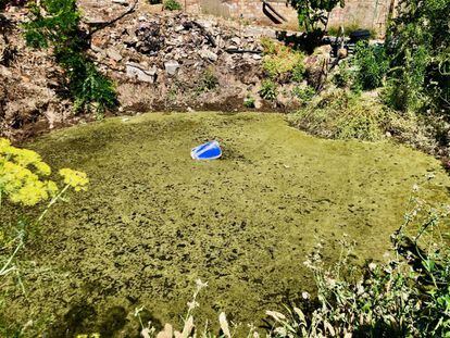 El famoso tollo, balsa de agua salobre horadado en el navazo. El flotador azul pensado para sostener la bomba de extracción / Capel