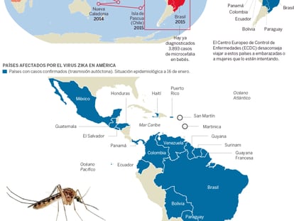 Evolución del virus zika en el mundo