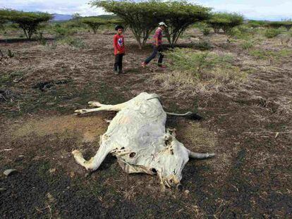 Un par de ni&ntilde;os observan una vaca muerta por la sequ&iacute;a en Nicaragua.