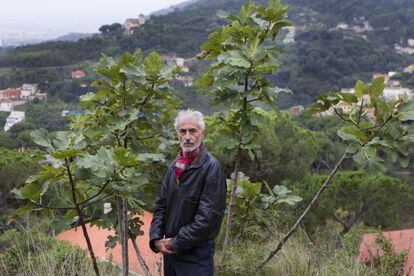 Joan Ollé, el ciudadano sancionado por cortar parte de una higuera.