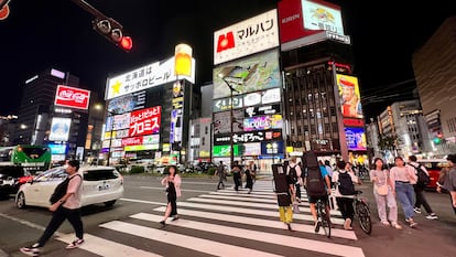 Una de las calles del animado barrio de Susukino.