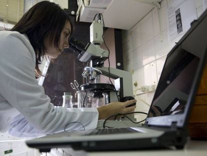 Becaria de un laboratorio de la Facultad de F&iacute;sicas de la Universidad de Santiago.