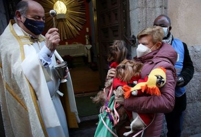 Desde perros y gatos hasta hurones y canarios. Decenas de personas acudieron con sus mascotas este lunes a la iglesia de San Antón de Madrid para bendecir a sus mascotas en el día del patrón de los animales.