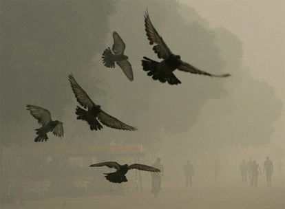Varias palomas sobrevuelan una calle de Buenos Aires mientras algunas personas caminan envueltas en el espeso humo que cubre la ciudad.