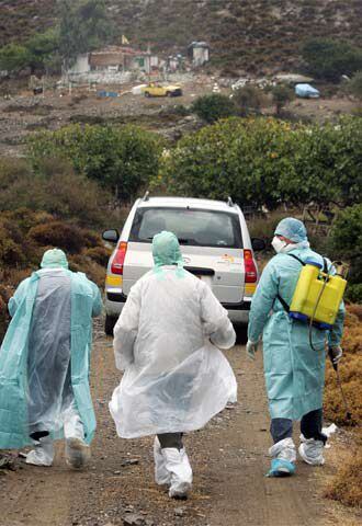 Agentes sanitarios griegos llegan a la granja de Jíos donde apareció un pavo con gripe aviar.