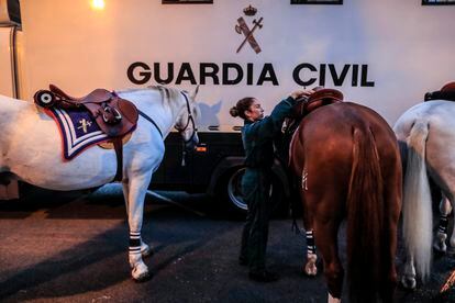 Una guardia civil prepara a uno de los caballos que va a desfilar en la parada militar del 12 de octubre. 