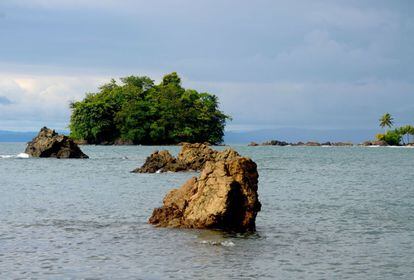 Es difícil decidir hacia dónde mirar en Bahía Solano (Chocó). En este paraíso, en el noroccidente de Colombia, muy cerca de Panamá, hay aves, ballenas y tortugas. También destacan las playas, selvas y arrecifes coralinos. Un lugar del Pacífico ideal para amantes de las aves: aquí habitan al menos 600 especies.