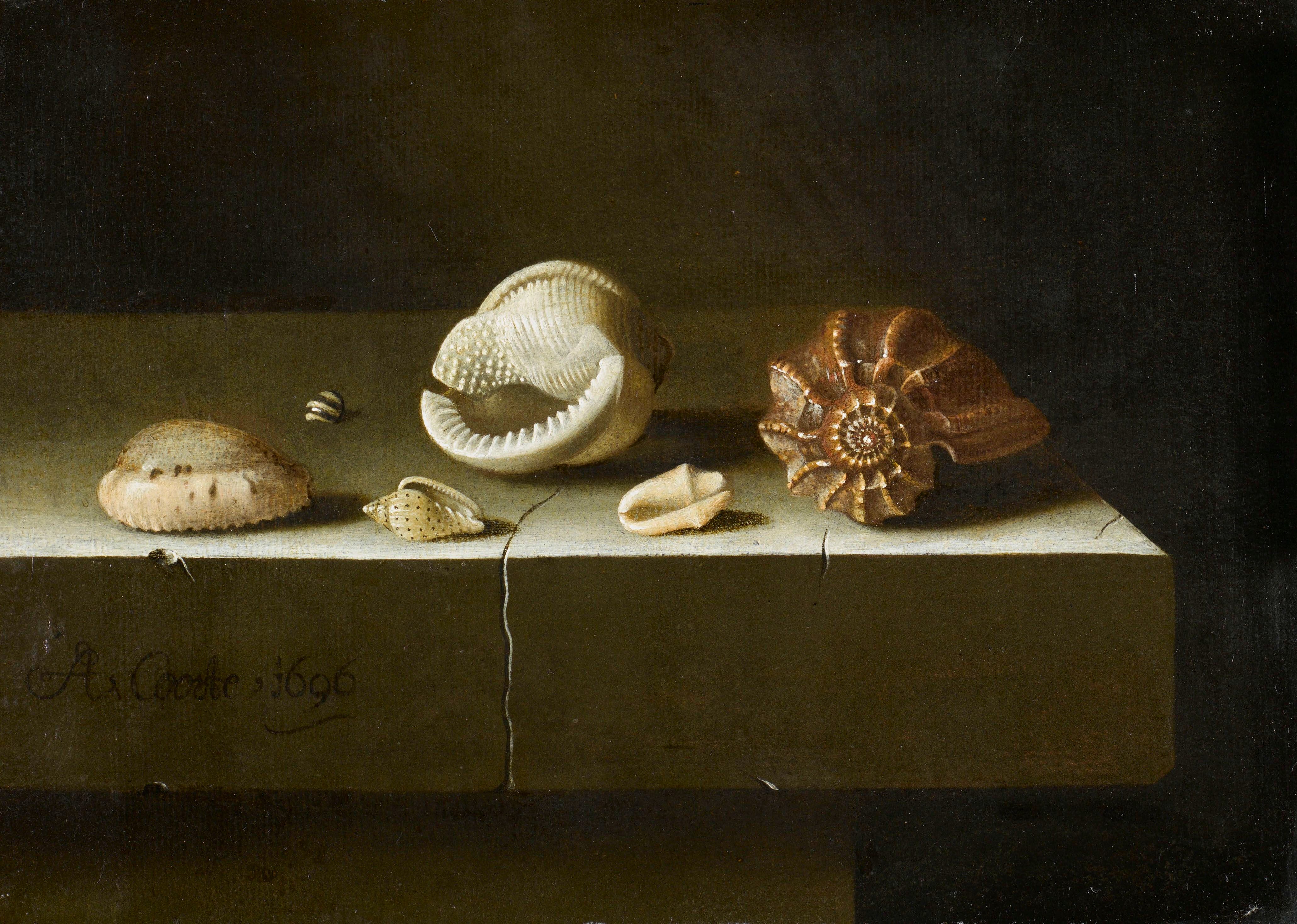 'Seis conchas en una mesa de piedra' (1696), de A. S. Coorte.