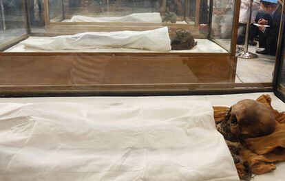 Las momias de la familia de Tutankamón, en el Museo de El Cairo, han sido nuevamente investigadas, iniciativa que ha resultado polémica.