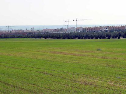 Terreno protegido en el que se planea construir parte de las 20.000 viviendas en Illescas.