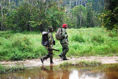 Una patrulla antifurtivos en la reserva de Dzanga Sangha.