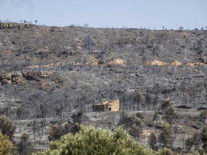 Zona devastada por el incendio cerca de Flix.