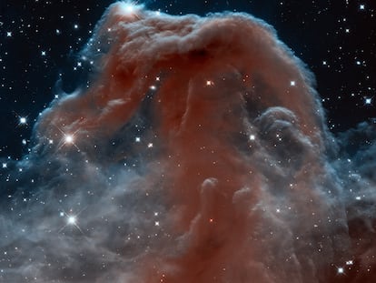 La nebulosa de la Cabeza de Caballo.