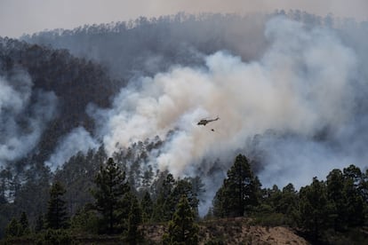 Helicóptero antiincendios en un bosque en llamas en Arico (Tenerife), el pasado mayo.