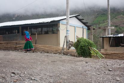 Una mujer camina por la calle en Nizag, Chimborazo (Ecuador).