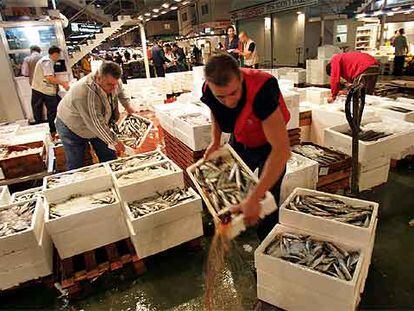 Los comerciantes de pescado de Mercamadrid preparan la mercancía para la venta a las 6.30.