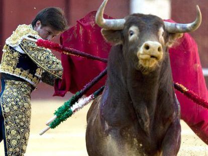 El diestro Julián López "El Juli", durante la corrida picassiana de la Plaza de Toros de la Malagueta.