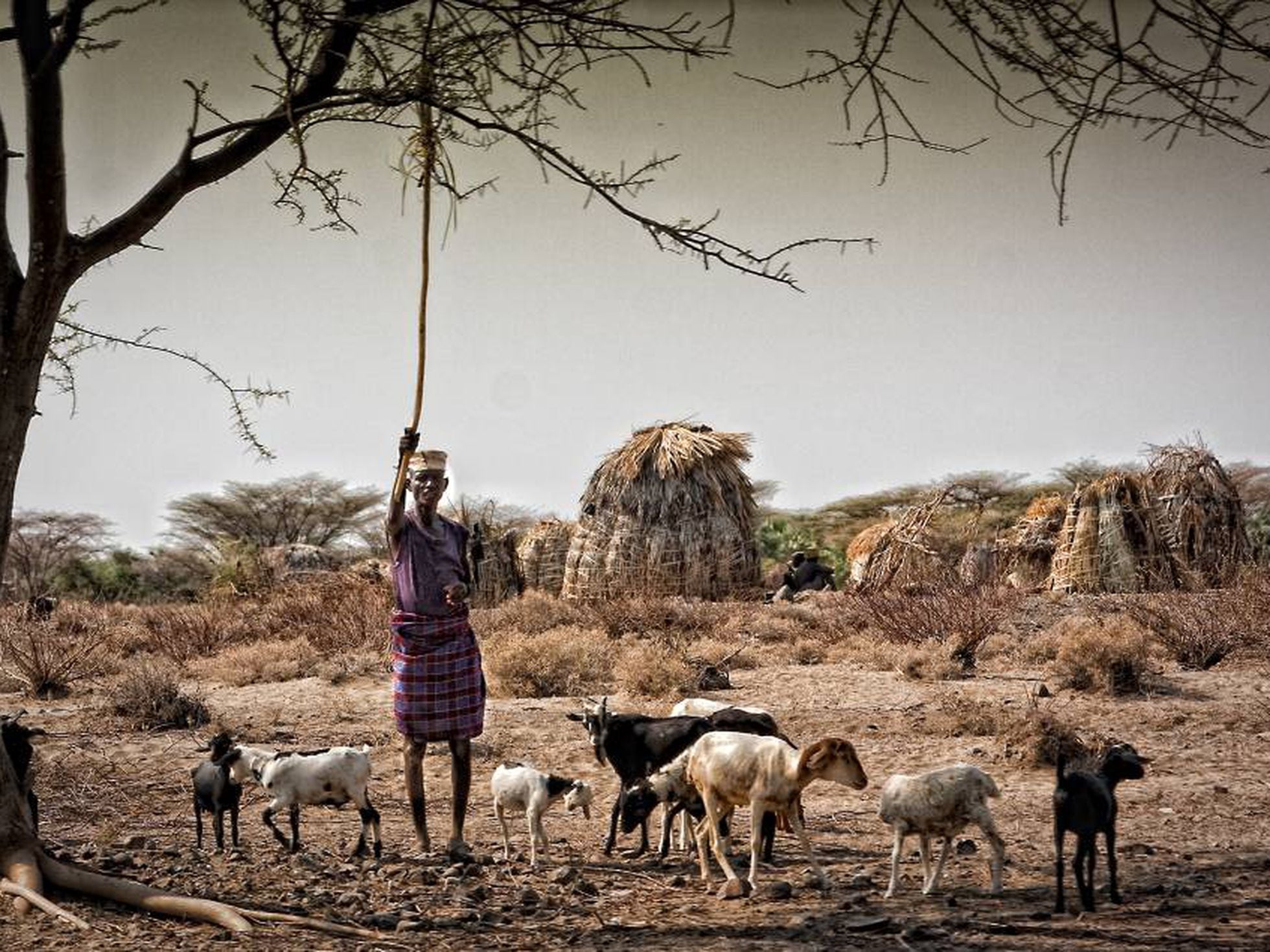 Kenia Cirujanos contra el cambio clim tico y mucho m s Planeta