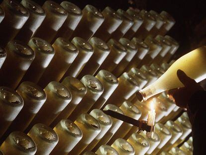 La producci&oacute;n de cava se ha estancado. 