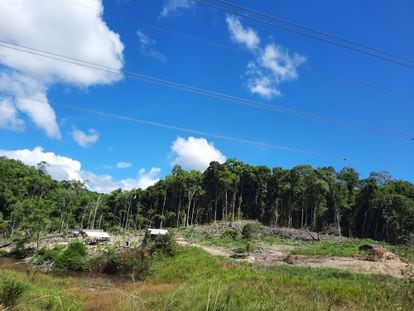 La vía que conecta con Brasil es un colador de huecos que kilómetros adentro deja ver parches deforestados en los que mes a mes hay más campamentos improvisados, construidos con columnas de árboles talados y techos de plástico negro.