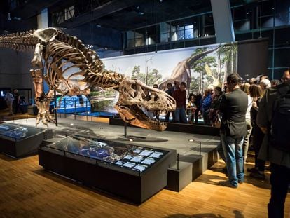 Imagen de la exposición del T.Rex en CosmoCaixa.