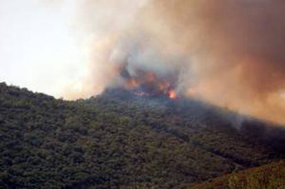 Vista del incendio que la pasada semana afectó al Parque Nacional de Cabañeros, en el término municipal de Navas de Estena (Ciudad Real). EFE/Archivo