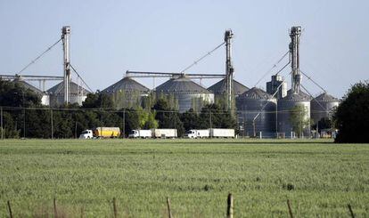 Silos a las afueras de la localidad bonaerense de Ramallo.