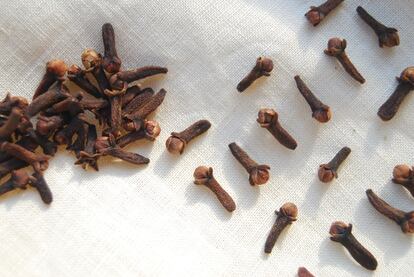 A handful of cloves, effective against some mosquitoes.