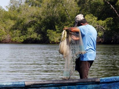 Un pescador realiza sus actividades en las aguas del Canal de Chiquimulilla, en la comunidad de Las Lisas, en la costa del Pacífico guatemalteco.