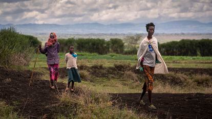 Tres personas llegan andando a la consulta médica en un centro médico móvil instalado en una zona rural de Isiolo, Kenia. La desnutrición es hoy uno de los principales problemas de salud del país.