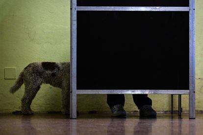 Las patas de un perro y los pies de su dueño se asoman detrás de un biombo en un centro de votación de Roma. 