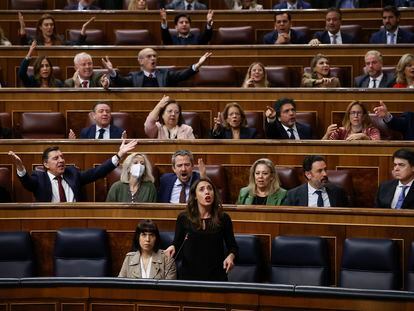 Los diputados del PP protestan durante la intervención de Irene Montero en el Congreso este miércoles.