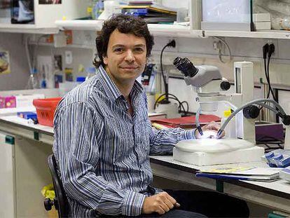 Antonio Giráldez, en el Instituto de Investigación Biomédica de Barcelona.