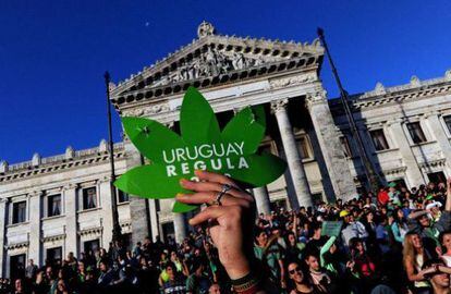 Simpatizantes de la legalización de la marihuana en Uruguay.