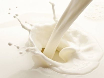 Azúcar excesivo en la dieta: los lácteos no son los responsables