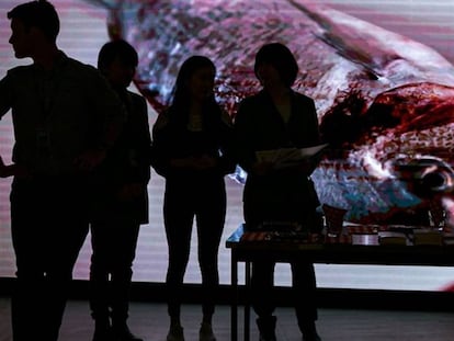 Imagen de un pez en la 72ª asamblea de la Organización Mundial de la Salud. 