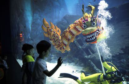 Los buzos del Acuario de Sentosa realizan la danza del dragón bajo el agua, como parte de las celebraciones del Año Nuevo Chino, en Singapur.