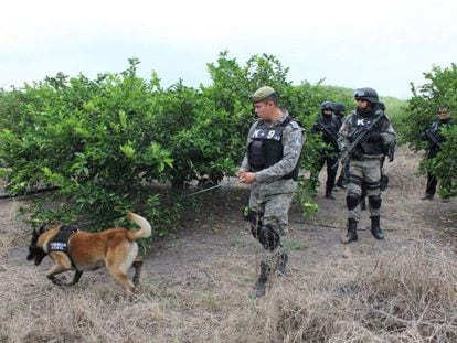 La polic&iacute;a busca cuerpos en Veracruz en enero de este a&ntilde;o. 
