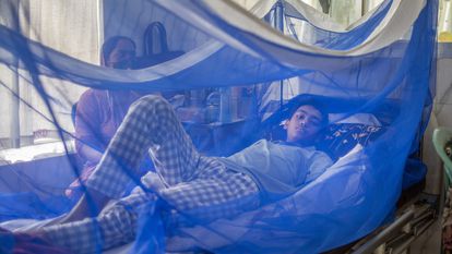 Un adolescente enfermo de dengue se recupera en un hospital de Dacca, en Bangladés, el 17 de agosto de 2021.