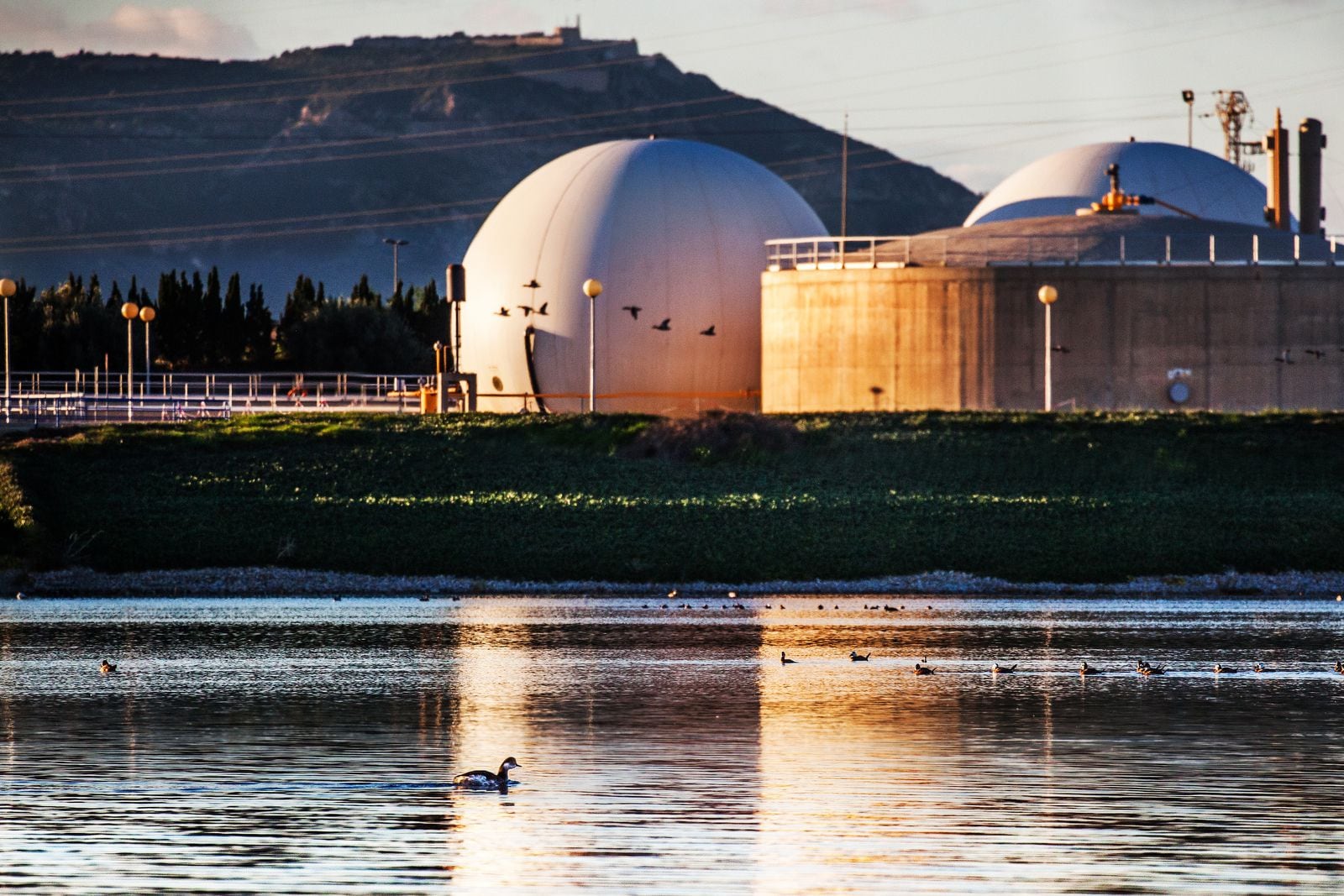 Cuidar de la Tierra empieza por el agua