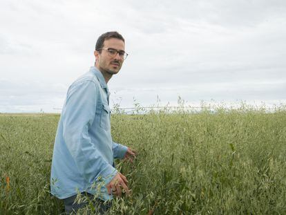 David Ruiz, responsable técnico de Seguimiento de Cultivos en Grupo Pascual, en un campo de soja.