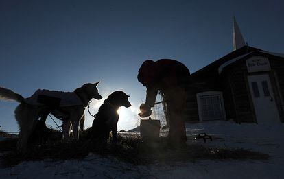 Un 'musher' prepara la comida a sus perros en el puesto de control en Ruby, 7 de amrzo de 2014.