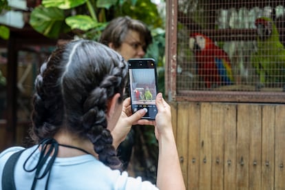 Visita guiada de turisas al Jaguar Rescue Center.