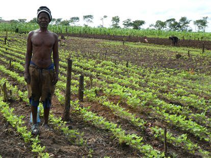Liaia Daia, agricultor mozambiqueño, posa junto a su campo de soja.