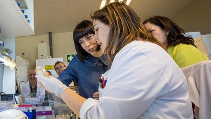 La ministra de Ciencia e Innovación, Diana Morant, visita un laboratorio en La Rioja.
