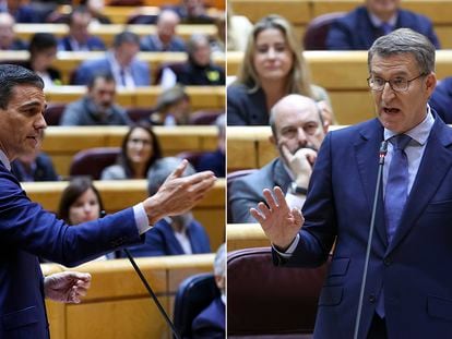 Pedro Sánchez y Alberto Nuñez Feijóo, este miércoles en el Senado.