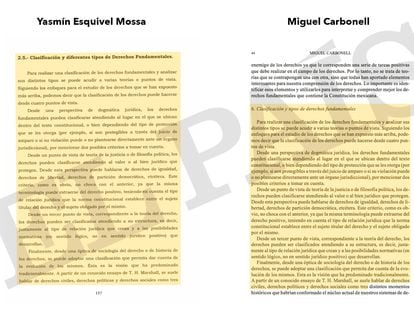 Tesis doctorado plagiada Yasmín Esquivel