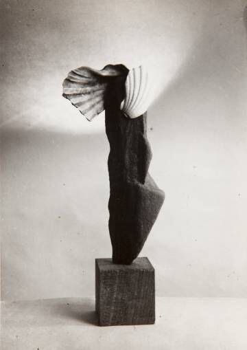 'Ave cabría' (1945), fotografía de Ángel Ferrant.