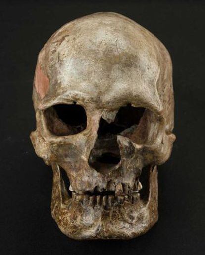 Cráneo del yacimiento de Dolnte Vestonice, en la República Checa.