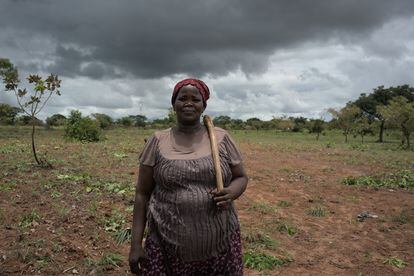 Aunque la ocupación principal de Poline es la de hacer harina de maíz, en sus ratos libres, trabaja en el campo de las desplazadas.